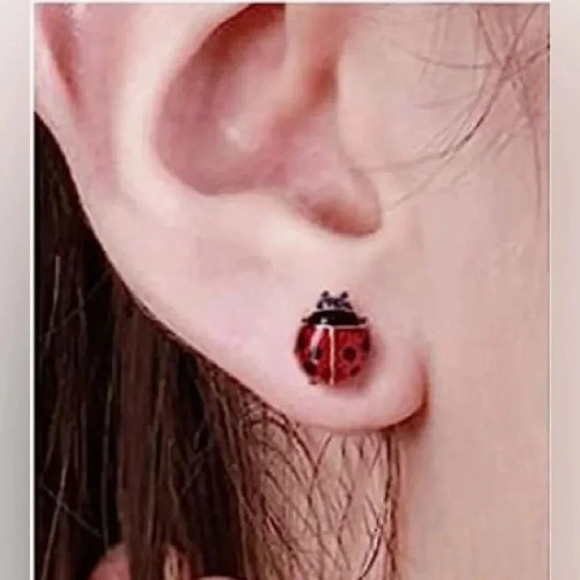 HP! 🎉 Cute Mini Stainless Steel Ladybug Stud Earrings - Picture 2 of 2